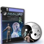 Prana3D - Meridian-3D-Simulation & Lexikon