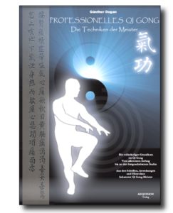 Professionelles Qi Gong - Band 1