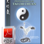Professionelles Tai Chi Chuan als E-Book
