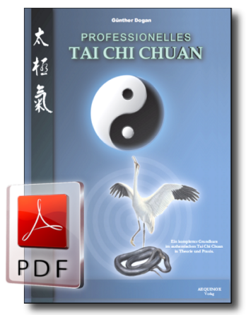 Professionelles Tai Chi Chuan als E-Book