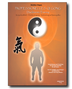 Professionelles Qi Gong - Band 2