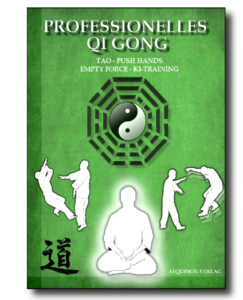 Professionelles Qi Gong - Band 3