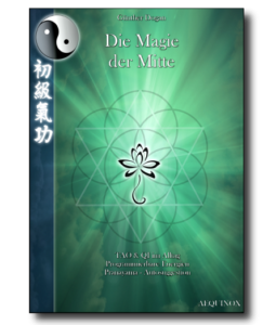 Professionelles Qi Gong - Band 4