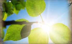 Qi Gong und das Qi - Eine wahre Universal-Medizin